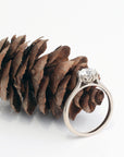 Kaeli engagement ring