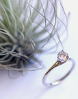 Pengfei Ring