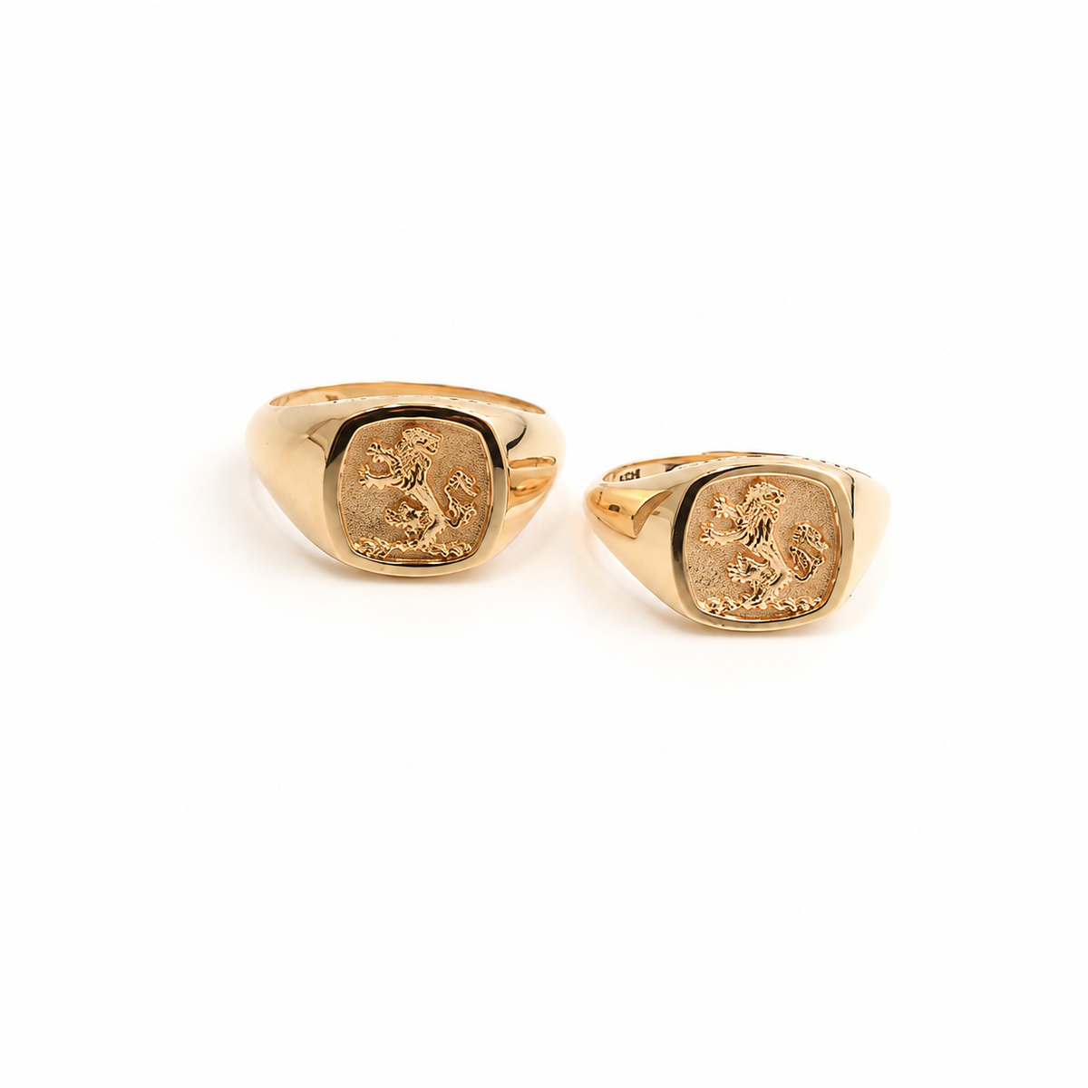 Noah And Sara Family Rings