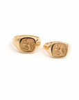 Noah And Sara Family Rings
