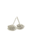 Banksia Pod earrings